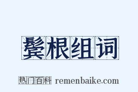 鬓根组词是什么意思的图片